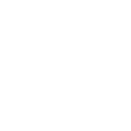 icon-meetrapport