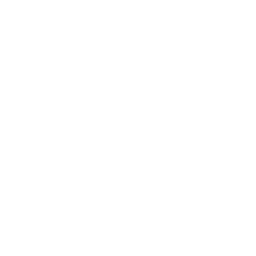 icon-tiny-house